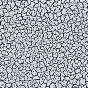 Vopsea decorativa Crackie 1 L