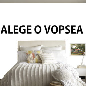 Vopseaua Potrivită cu Vizualizare